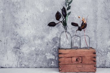 Kuru çiçek şişe, minimalizm hala hayatta. Alan arka plan kopyalama