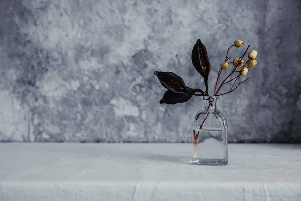 Висушений Квітка Пляшці Мінімалізм Натюрморту Копіювати Тло Простору — стокове фото