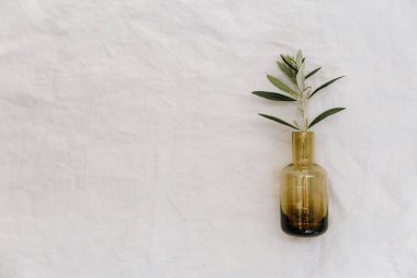 zeytin dalı keten masa örtüsü üzerinde cam şişede. minimalizm