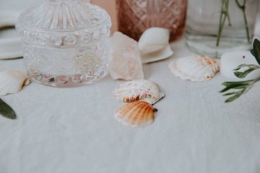 Deniz kabuklarını ve vazo. Rustik düğün süslemeleri
