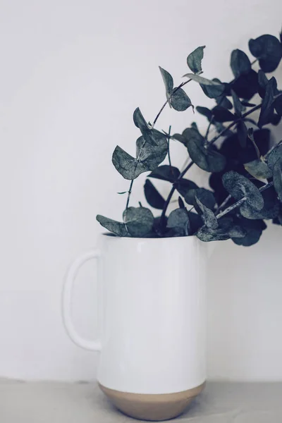 Rural abstract background with vase and eucalyptus brunches . Rustic scene