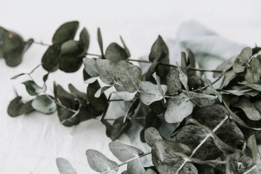 yaprakları ile keten masa örtüsü. minimalizm