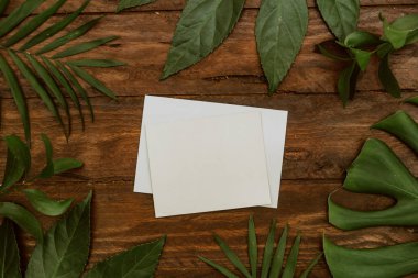 Düz yatıyordu tropikal yaprakları ile alay etmek yukarıya