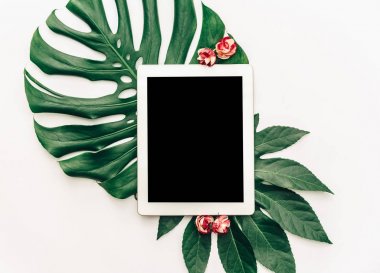 Tropikal yaprak monstera üzerinde düz yatıyordu dijital tablet. Üstten Görünüm 