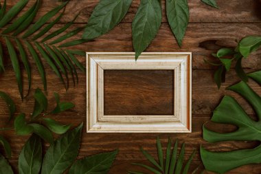 Düz yatıyordu tropikal yaprakları ile alay etmek yukarıya