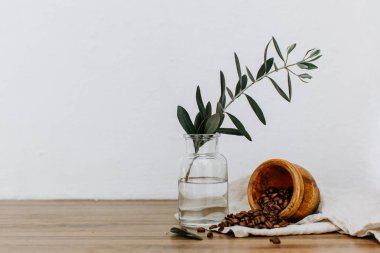  Şube arka plan üzerinde cam şişede. minimalizm