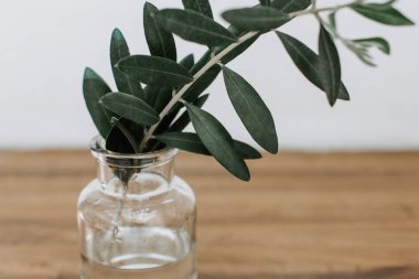  Şube arka plan üzerinde cam şişede. minimalizm