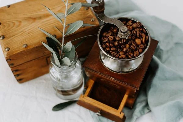 コーヒー豆まき 銅古いスタイルのホット コーヒー オリーブ ブランチ飾られています 田園風景 — ストック写真