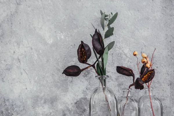 Dried flowers in bottle, minimalism in still life. Copy space background