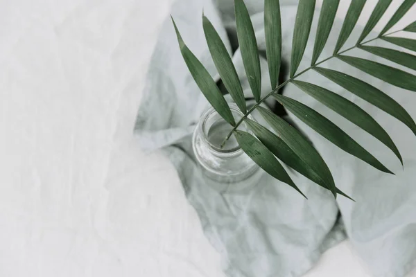 Branch Glass Bottle Linen Tablecloth Minimalism — Stock Photo, Image