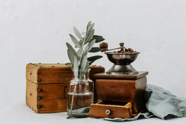 Coffee Beens Copper Old Style Hot Coffee Decorated Olive Brunch — Stock Photo, Image