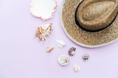 Düz yatıyordu yaz kompozisyon. Şapka ve kabukları ile yaratıcı kavramı. Üstten görünüm, kopya alanı 