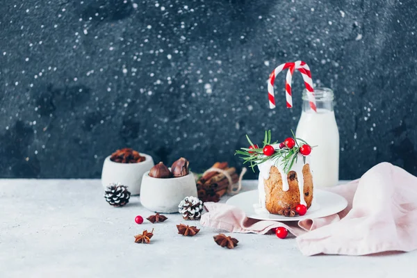 Traditional Christmas Ftuit Cake Milk Copy Space — ストック写真