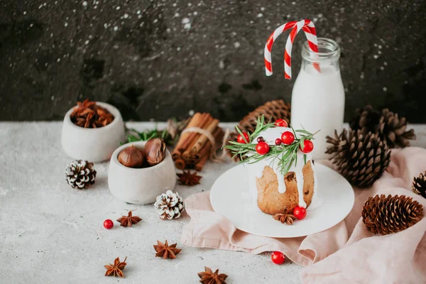 Παραδοσιακό Χριστουγεννιάτικο Κέικ Cranberry Ζεστό Γάλα Κουκουνάρια Κανέλα — Φωτογραφία Αρχείου