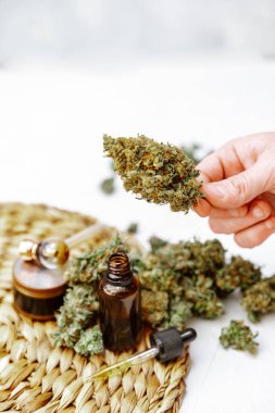 Tıbbi Esrar (Marihuana) yağı tüketime hazır
