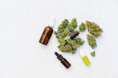 Kenevir yağlı şişenin yanındaki tıbbi marihuana tomurcuklarına yakından bakın.