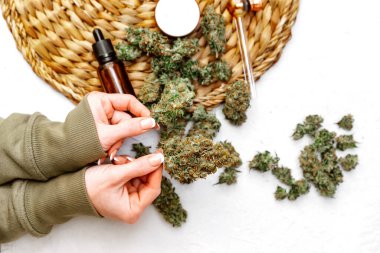 Kenevir Buds 'ı tutan eller. Tıbbi marijuana yağı. 