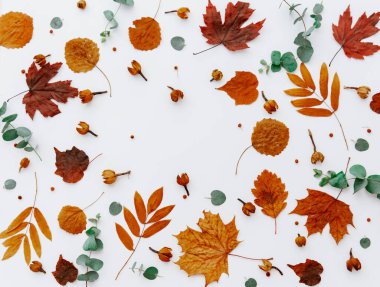Beyaz arka planda sonbahar kurumuş yapraklarının sonbahar kompozisyonu. Düz yerde, üst tarafta. Görüntüyü kapat