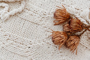 Üst Manzara Tropikal Egzotik Protein Çiçeği, güzel stil iç tasarım konsepti