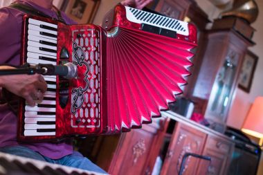 Akordeon oynayan sanatçı