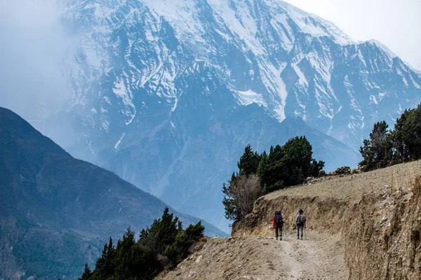 Nepal. Annapurna devre. Himalayalar