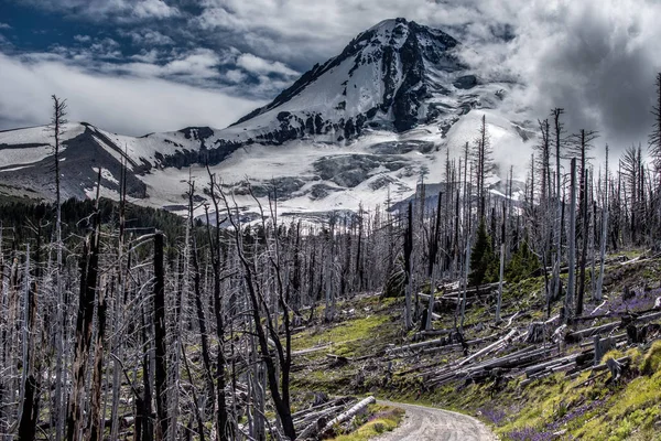 Mount Hood. Oregon. ABD
