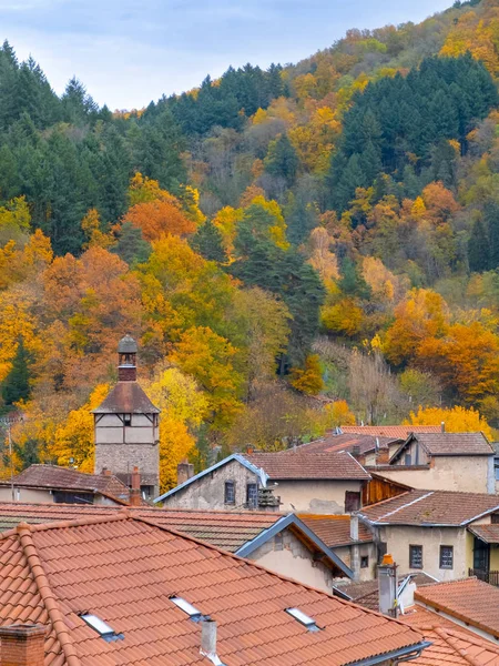 Pequeña Ciudad Medieval Escondida Una Montaña Arbolada Auvernia Francia — Foto de Stock