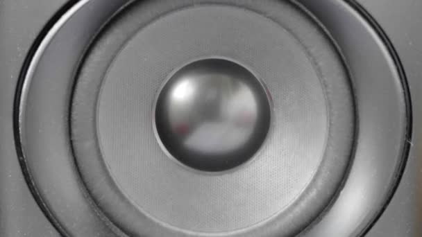 speaker vibrates with bass