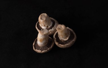 Yerel lezzetli mantar