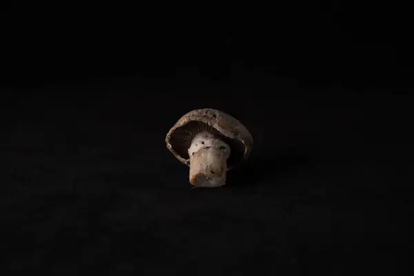 Lokalne pyszne grzyby — Zdjęcie stockowe