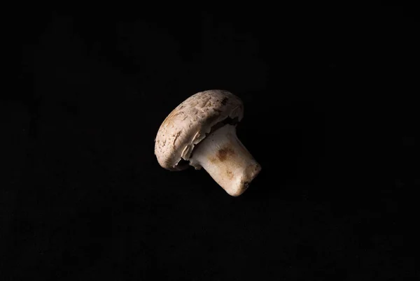 Місцеві смачні гриби — стокове фото