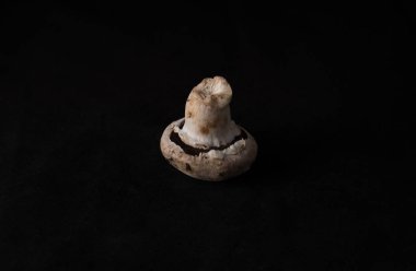 Yerel lezzetli mantar