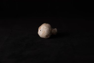 Yerel lezzetli mantar