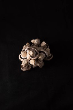 Yerel lezzetli mantar