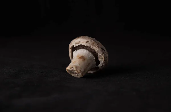 Delicioso cogumelo local — Fotografia de Stock
