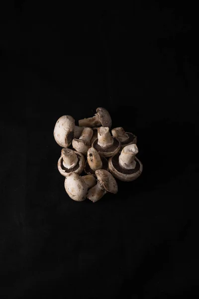 Local delicious mushroom — Stock Photo, Image