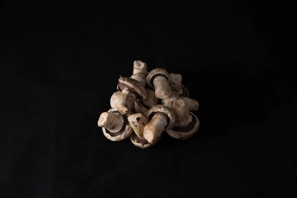 Lokala läckra svamp — Stockfoto