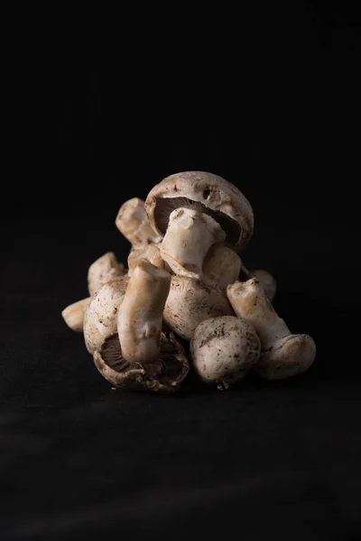 Местные вкусные грибы — стоковое фото