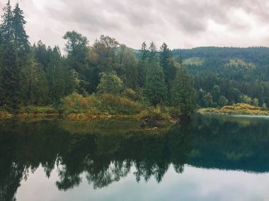 Ağaçlar ve su üzerinde yansıma