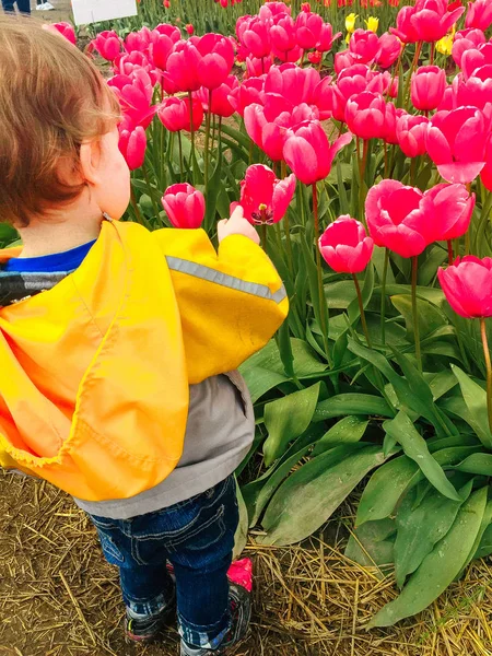 Pembe Lale dokunmadan yürümeye başlayan çocuk