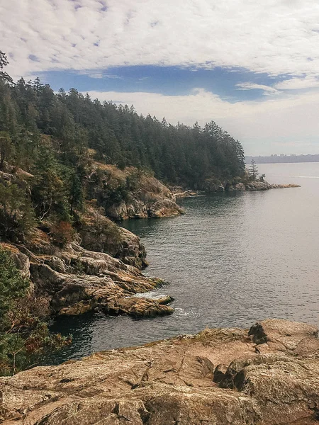 Kayalık kıyı şeridi ve ağaçlar