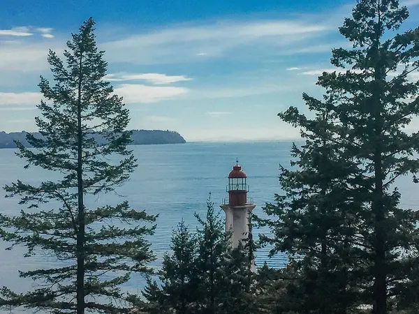 Ormanda deniz feneri