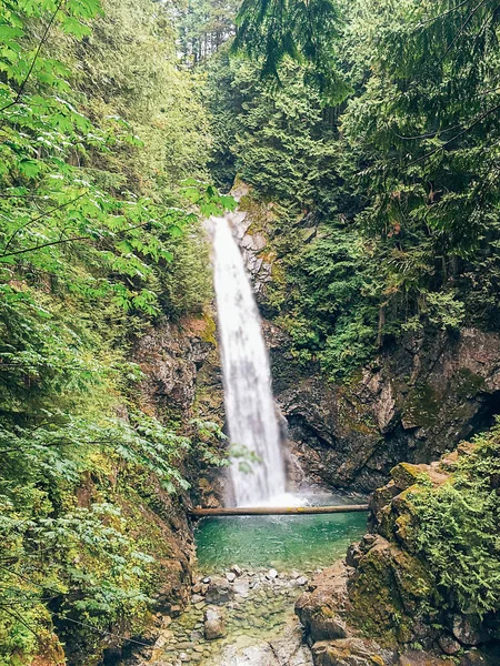 Ormanda şelale ve havuz