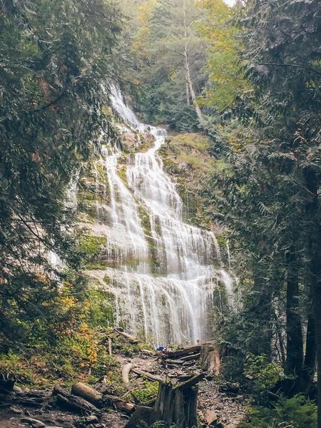 Ormanda güneşli şelale