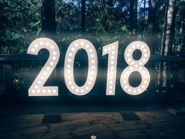 2018 yazılı ışıklar