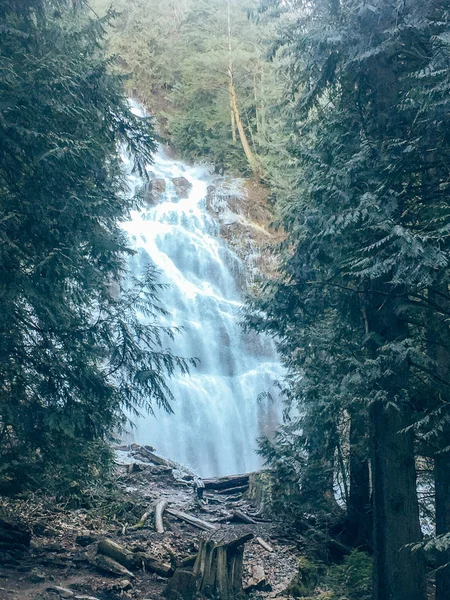 Ormanda güneşli şelale