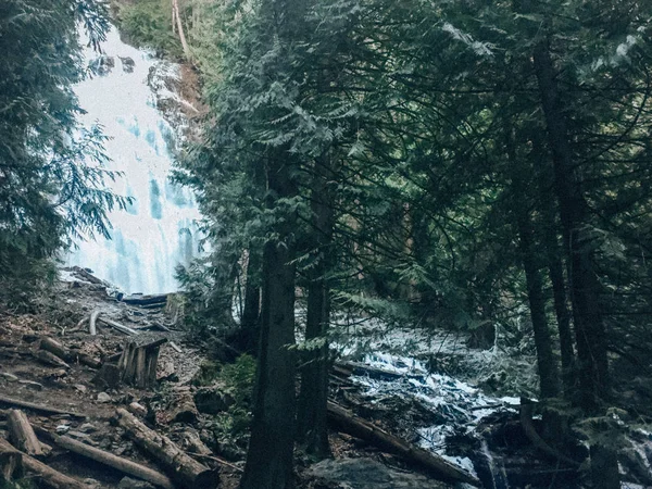 Ağaçlar arasında şelale