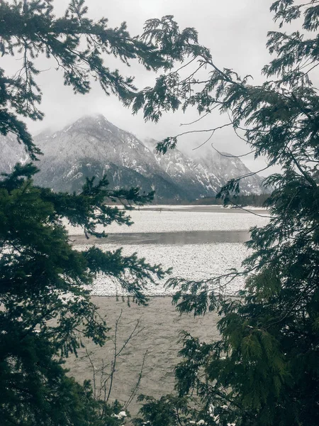 Ağaçların içinden karlı dağ