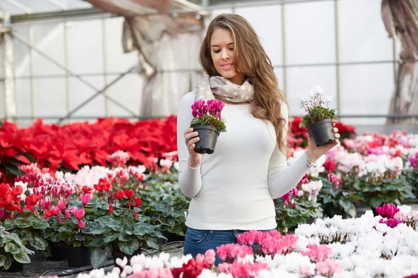 Mulheres jovens escolhendo poinsettia na loja de jardim — Fotografia de Stock