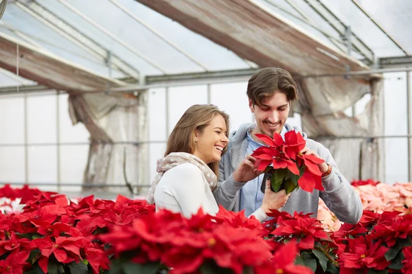 Mujeres jóvenes que eligen poinsettia en la tienda de jardín — Foto de Stock